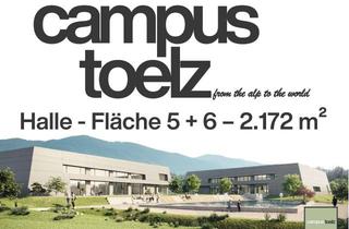 Büro zu mieten in Am Sitecpark, 83646 Bad Tölz, NEUBAU - Produktions-, Forschung- und Laborflächen inkl. Büro - "provisionsfrei" (Fläche 5+6)