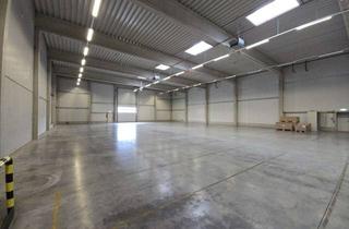 Büro zu mieten in 33428 Harsewinkel, Ihre neue Unternehmensadresse: Großzügige Gewerbehallen mit Büroflächen in Harsewinkel-Marienfeld