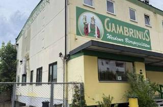 Gewerbeimmobilie kaufen in 92637 Rehbühl, Neue Ideen gefragt - ehemaliges Brauerei-Areal in Weiden mit Lager-, Produktions- u. Wohngebäuden