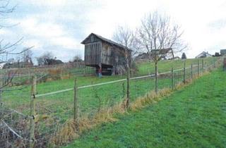 Grundstück zu kaufen in Büttemerweg, 69493 Hirschberg, Bauerwartungsland - Großes Grundstück in Hirschberg zu verkaufen