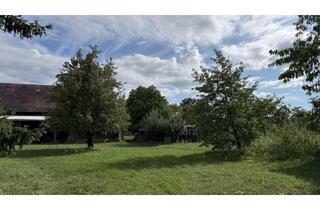 Grundstück zu kaufen in 15913 Alt Zauche-Wußwerk, Ruhig gelegen im Ortskern von Alt Zauche