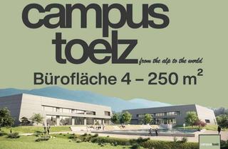 Büro zu mieten in Am Sitecpark, 83646 Bad Tölz, NEUBAU – Moderne Büroflächen im Industrielook – provisionsfrei (Fläche 4)