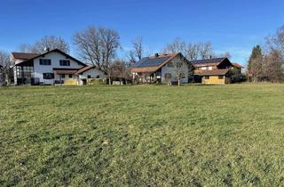 Gewerbeimmobilie kaufen in 86860 Jengen, Landwirtschaftliche Flächen - Ummenhofen-Gemeinde Jengen