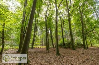 Anlageobjekt in 27628 Hagen, Waldfläche in Bramstedt/Lohe