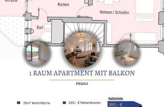 Wohnung mieten in 04523 Pegau, 1 Raum Apartment mit separatem Küche und Balkon