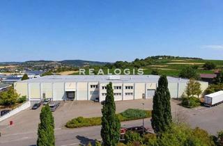 Gewerbeimmobilie mieten in 74388 Talheim, Lager-/Logistikhalle bei Heilbronn zu vermieten | Flexibel nutzbar, provisionsfrei!