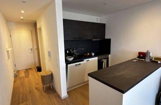 Immobilie mieten in 88179 Oberreute, Möbiliertes 1-Zimmer-Appartment mit Panoramablick auf den Hochgrat