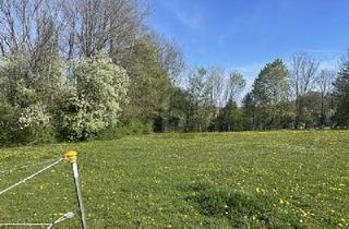 Grundstück zu kaufen in 82335 Berg, Berg - INVESTMENT IN IHRE ZUKUNFT- KAUFEN SIE LAND