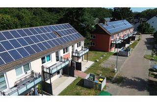Wohnung mieten in Gartenstr., 31199 Diekholzen, Diekholzen - schicke 2 Zimmer Wohnung im Erdgeschoss!