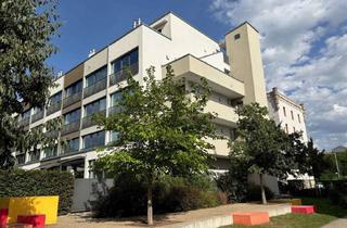 Penthouse mieten in 01099 Äußere Neustadt, * modernes und großzügiges Penthouse mit Dachterrasse, herrlichem Blick und Einbauküche