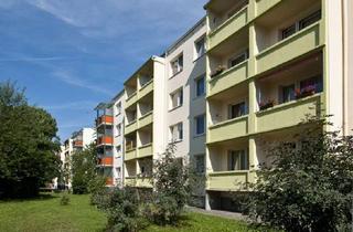 Wohnung mieten in Ploggenseering, 23936 Grevesmühlen, Erstbezug nach Sanierung: 4-Zimmer-Wohnung im Erdgeschoss