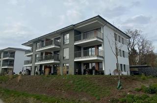 Wohnung mieten in 32756 Detmold, Moderne 2-ZKB-Wohnung mit Balkon in Detmold