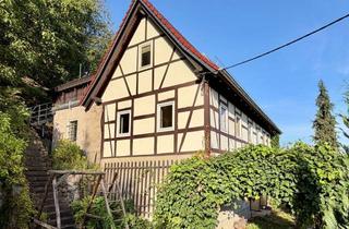 Haus kaufen in 01665 Diera-Zehren, Fachwerkhaus mit Charakter - Wohnen und Leben mit Elbblick