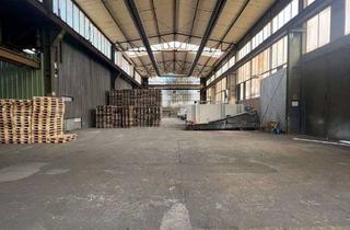 Gewerbeimmobilie kaufen in 08280 Aue, Ausnahmekaufpreis: Grundstück (ca. 15.000 qm) mit Hallen (ca. 6.000 qm), Trafo (400 kVA) bei Aue