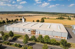 Gewerbeimmobilie kaufen in 99820 Hörselberg-Hainich, Gewerbeanwesen in zentraler Lage: Moderne Produktions- und Lagerhallen mit Erweiterungspotenzial dir