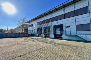 Büro zu mieten in 31275 Lehrte, KEINE PROVISION ✓ Lager-/Logistik (12.000 m²) & Büro (2.500 m²)
