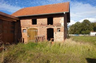 Grundstück zu kaufen in 06868 Coswig, Idyllisch gelegener Resthof mit Stall und Lagerhalle