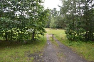 Grundstück zu kaufen in Dorfstraße Ecke Grenzstraße, 02959 Groß Düben, 20%iger Miteigentumsanteil an eine landwirtschaftlich genutztem Grundstück