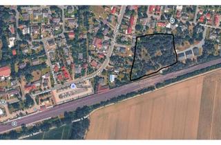 Grundstück zu kaufen in 38536 Meinersen, Großes Baugrundstück in Meinersen – über 8.500 m², auch Teilflächen möglich