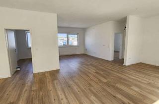 Büro zu mieten in 67071 Oggersheim, Erstbezug nach Renovierung – moderne Bürofläche- Fernwärme- 3-fach Fenster Verglasung- Parkplatz