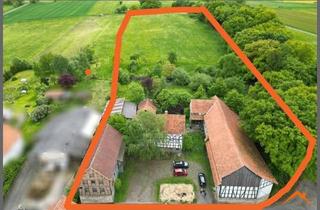 Immobilie kaufen in 34621 Frielendorf, Ein Zuhause im Glück - für Mensch und Tier