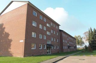 Wohnung mieten in Heidmarkstraße 58, 29683 Bad Fallingbostel, Helle 3 Zimmer-Wohnung sucht neue Mieter!