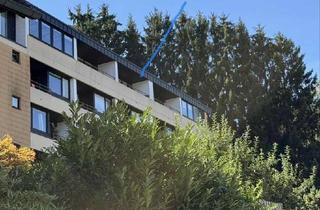 Wohnung kaufen in 72270 Baiersbronn, Appartment mit traumhafter Aussicht im Sternedorf Baiersbronn