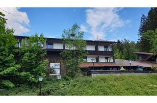 Wohnung kaufen in 93470 Lohberg, Helle 2-Zimmer-Wohnung mit neuer Küche & Natur direkt vor der Tür