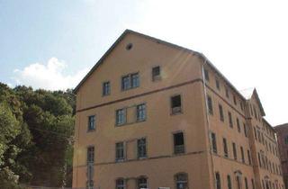 Lofts mieten in Tharandter Straße 105, 01187 Naußlitz, Schöne 2-Zimmer Loftwohnung in der Königsmühle1