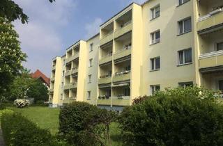 Wohnung mieten in Wiener Straße 83, 01219 Seevorstadt-Ost/Großer Garten, Ihre gemütliche 3 Zimmerwohnung am Großen Garten!