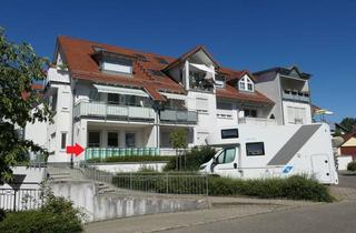 Wohnung mieten in 74613 Öhringen, Lichtdurchflutete 3 1/2-Zimmer-EG-Wohnung mit TG-STP
