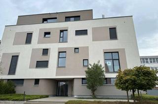Loft kaufen in 89077 Weststadt, ** 2,5-(Option auf 3,5)-Zi Loft mit Galerie ** * mit Balkon und Tiefgarage *