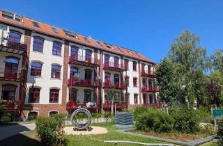 Wohnung mieten in Clara-Zektin-Straße 33a, 01159 Löbtau-Süd, Balkon und EBK: geräumige 2-Zi-Wohnung in saniertem Altbau!