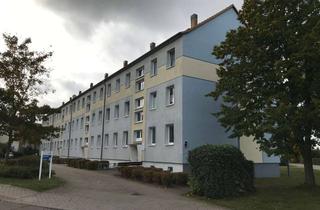 Wohnung mieten in Straße Der Freundschaft, 19089 Crivitz, Modernisierte Wohnung mit Balkon