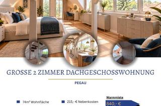 Wohnung mieten in 04523 Pegau, großzügige charmante 2 Zimmer Dachgeschosswohnung mit Balkon, Dachloggia und Klimaanlage