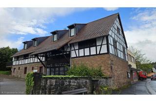 Wohnung mieten in Darmstädter Straße 50a, 64720 Michelstadt, gemütliche 3ZKB neu saniert