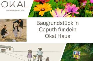 Grundstück zu kaufen in 14548 Schwielowsee, Dein OKAL-Haus in Caputh - naturnah zwischen Wasser, Wald und Potsdam