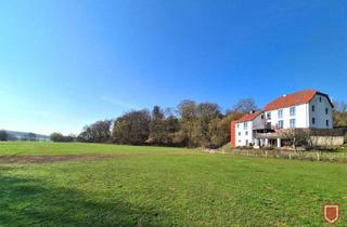 Einfamilienhaus kaufen in 34396 Liebenau, Wohnen mit Weitblick – Großzügiges Einfamilienhaus in ruhiger, naturnaher Lage von Liebenau