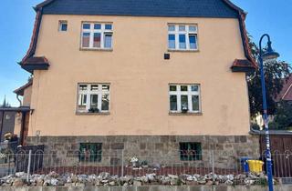 Villa kaufen in 38855 Wernigerode, Historische Stadtvilla mit 2 Wohnungen
