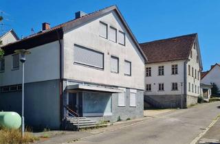 Haus kaufen in 89155 Erbach, Seltene Entwicklungschance in zentraler Lage von Erbach– Großzügiges Areal mit Denkmal-Ensemble am E