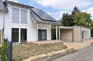 Einfamilienhaus kaufen in 72144 Dußlingen, Erstbezug! Flexibles Wohnkonzept - Einfamilienhaus + Tiny House im KfW 40+/KfW55 Standard