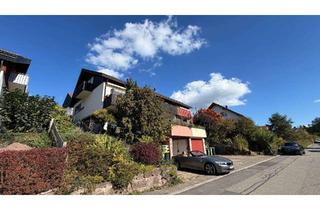 Haus mieten in 75385 Bad Teinach-Zavelstein, Huge house with Inlaw unit in the Black Forest - Bad Teinach - Zavelstein where others go for vac...