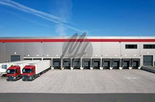 Büro zu mieten in 35683 Dillenburg, KEINE PROVISION ✓ SOFORT VERFÜGBAR ✓ Lager-/Logistik (50.000 m²) & Büro (7.000 m²)