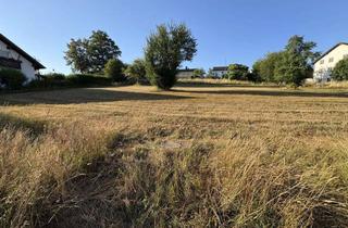 Grundstück zu kaufen in 84416 Taufkirchen, Baugrundstück mit Potenzial:2.529 m² in attraktiver Lage von Taufkirchen (Vils)