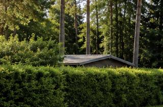 Grundstück zu kaufen in 14550 Groß Kreutz, Einzelgrundstück gesucht? Hier könnte Ihre Suche enden