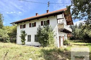 Grundstück zu kaufen in 86975 Bernbeuren, 1.591 m² Grundstück mit Altbestand in Bernbeuren