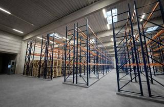 Lager mieten in 31028 Gronau, 2.040 m² Hochregallager (7,65 m) – Ideal für Fulfillment/E-Commerce, Industriehalle mit XXL-Rolltor