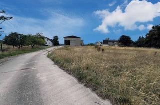Gewerbeimmobilie kaufen in Nöselwitzer Str. 21, 04509 Delitzsch, Landwirtschaftlicher Betrieb sucht neuen Inhaber