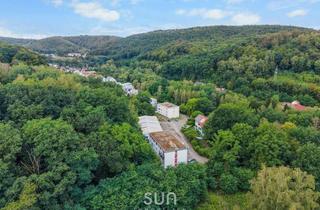 Wohnung kaufen in 66133 Saarbrücken, KERNSANIERTE 140 M² VOR NATURUMRINGTER WALDKULISSE – Grün Wohnen in Saarbrücken-Dudweiler!
