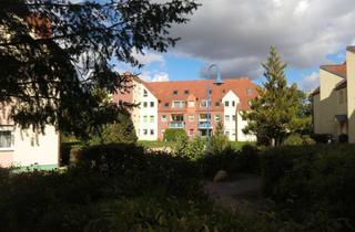 Wohnung mieten in Am Diebsgraben 6 A, 15374 Müncheberg, Helle 3-Zimmer-EG-Wohnung mit Terrasse